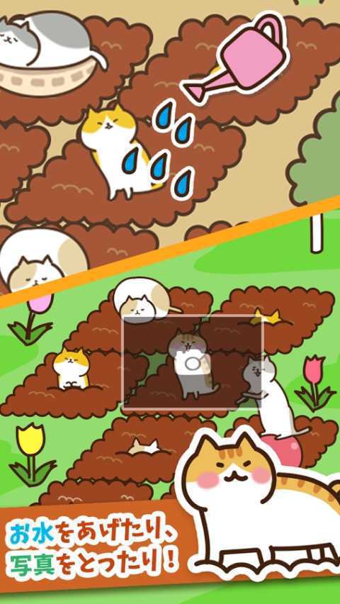猫咪田园破解游戏游戏截图5
