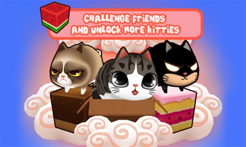 盒子里的猫破解无敌版游戏截图4