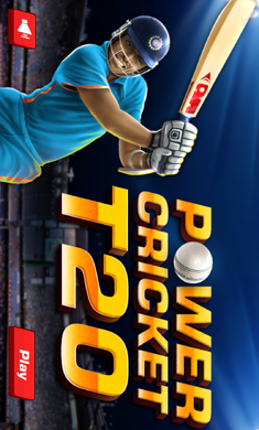 T20板球游戏截图1