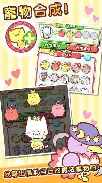 魔法宠物屋游戏截图4