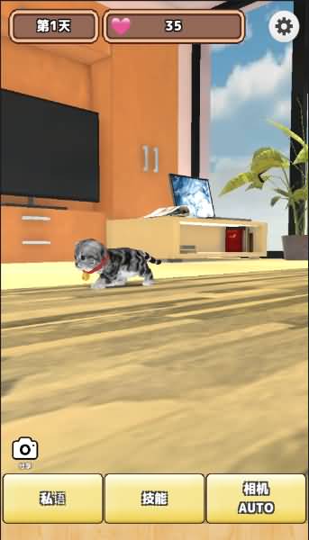 3D猫咪养成游戏截图2
