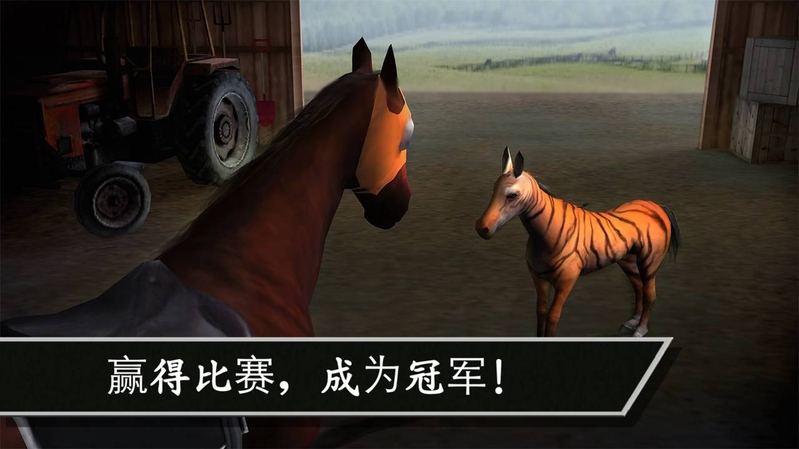 赛马:赢得杯赛挑战游戏截图4