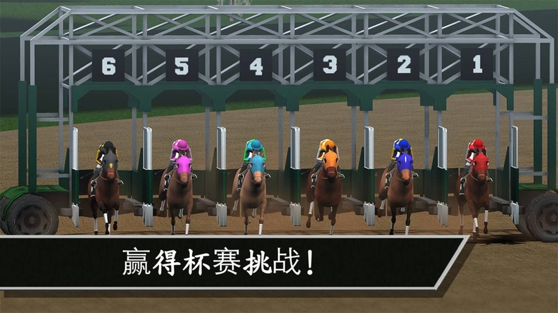 赛马:赢得杯赛挑战游戏截图2