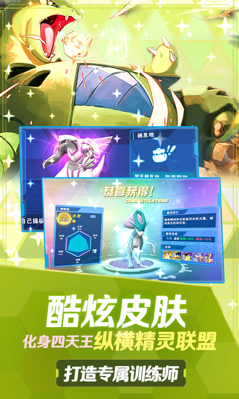 口袋高手（究级进化）游戏截图3
