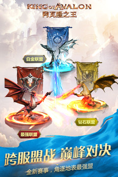 阿瓦隆之王游戏截图4