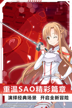 刀剑神域黑衣剑士：王牌游戏截图5