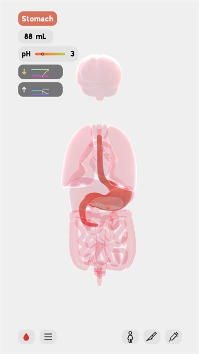 生命life 官方网站入口最新版本游戏截图2