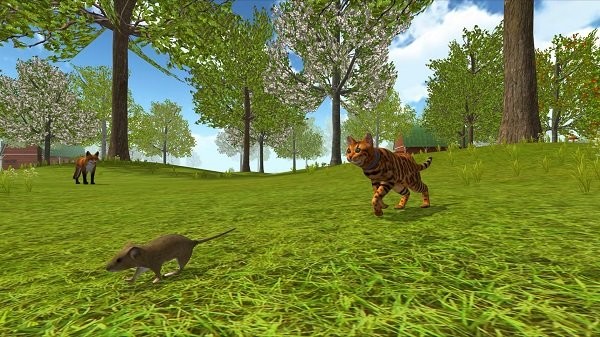 猫咪生存探险游戏截图2