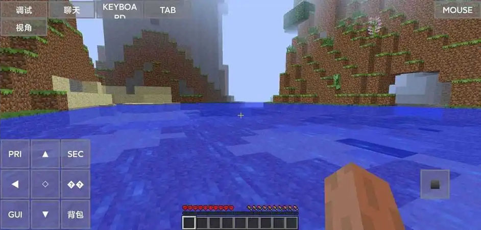 JAVA启动器 官网正版游戏截图3