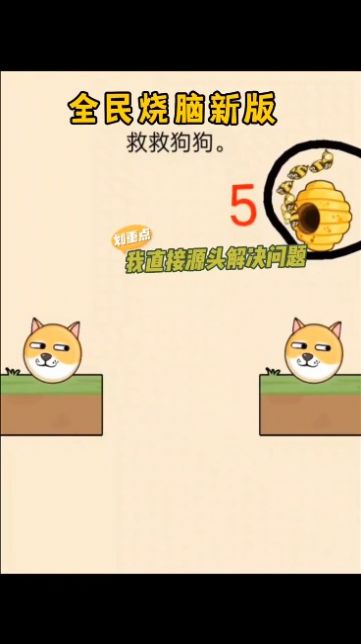 救救狗狗 下载官方正版游戏截图2