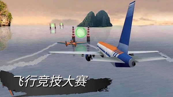 仿真驾驶挑战游戏截图4