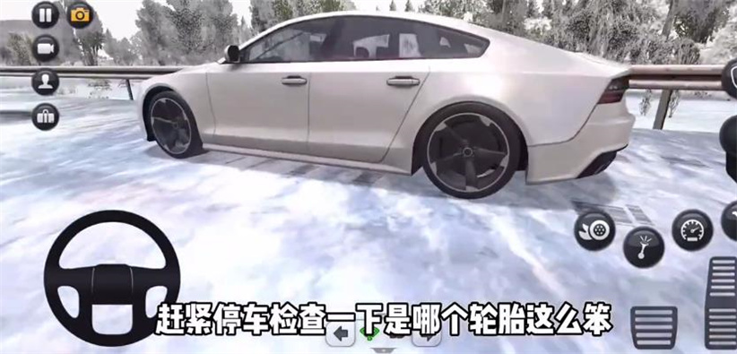 终极卡车模拟器 全解锁汉化版游戏截图4