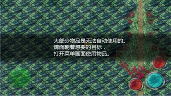魔女之家 移植汉化版游戏截图3
