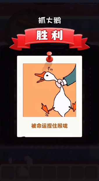 抓大鹅 手游2025安装入口游戏截图5