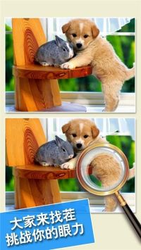 最强找茬 红包版游戏截图1