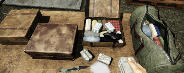 边境检察官 移植汉化版游戏截图3