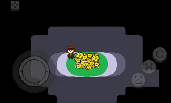 传说之下黄金正义 汉化版游戏截图2