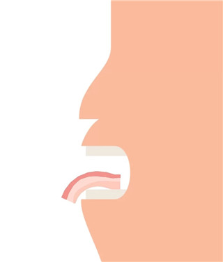 培根Bacon 中文安卓版游戏截图1