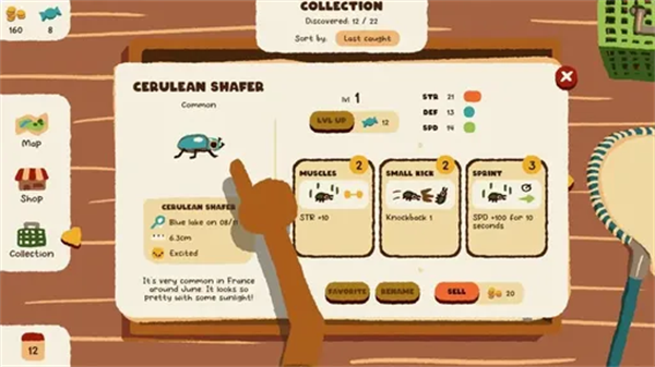 斗虫公园 完整版游戏截图5