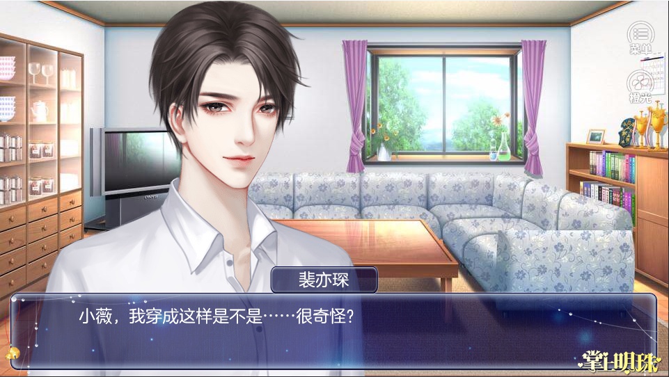 掌上明珠单机版游戏截图3