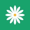 花帮主